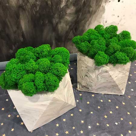 Многогранник