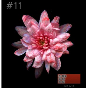 Краска для окрашивания живых цветов - 11 Красный