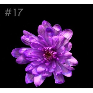 Краска для окрашивания живых цветов - 17 Ярко-фиолетовый