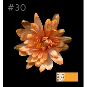 Краска для окрашивания живых цветов - 30 Мандариновый