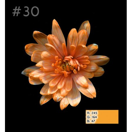 Краска для окрашивания живых цветов - 30 Мандариновый