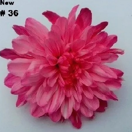 Краска для окрашивания живых цветов - 36 Розовый