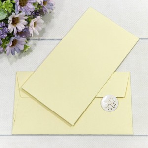 Конверт подарочный 16,9*9,4см Кремовый