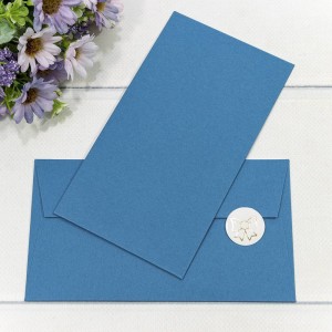 Конверт подарочный 16,9*9,4см Синий