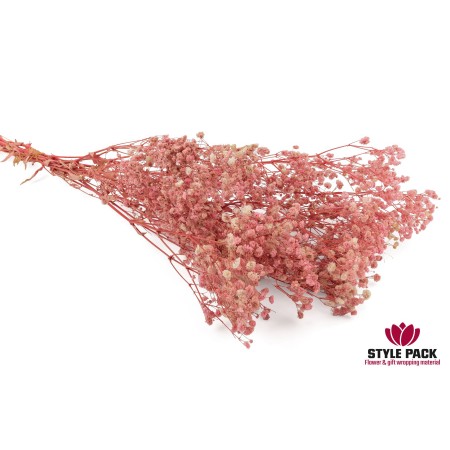 Гипсофила Мирабелла 70см 120г, Розовый