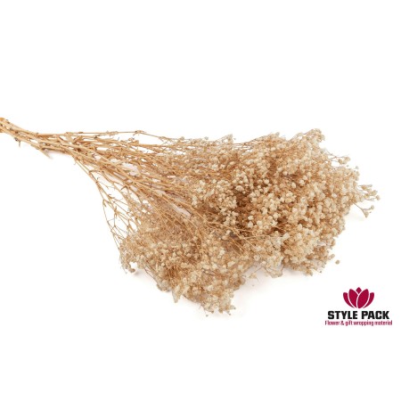 Гипсофила Мирабелла 70см 120г, Натуральный