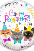 Шар (18''/46 см) Круг, Котики, С Днем Рождения!, 1 шт. в уп.