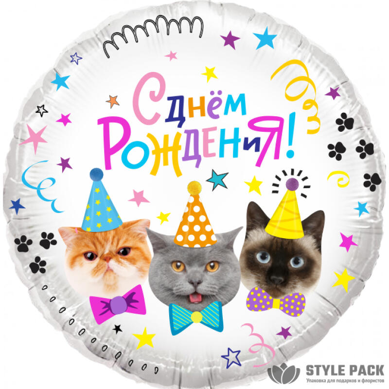 Шар (18''/46 см) Круг, Котики, С Днем Рождения!, 1 шт. в уп.